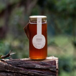 Nagaland’s Wildflower Honey: A Gift from the Eastern Himalayas Biodiversity Hotspot