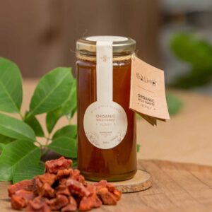 What Makes GALHO’s Apis Cerana Honey Unique? A Healthier Choice for Honey Enthusiasts
