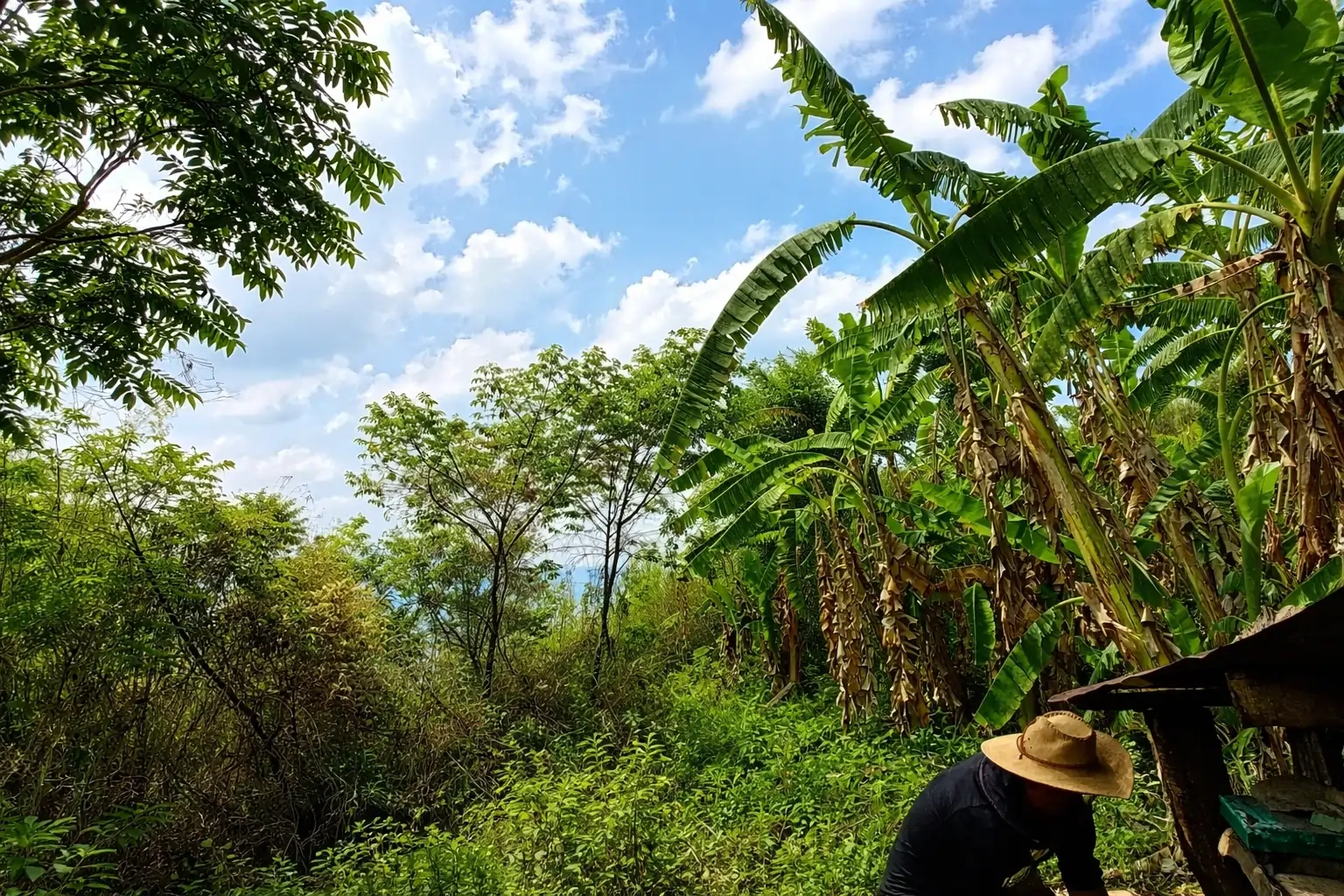 Why GALHO’s Wild Forest Honey Costs More: The Ethical Process Behind Our Raw Wild Forest Honey Production