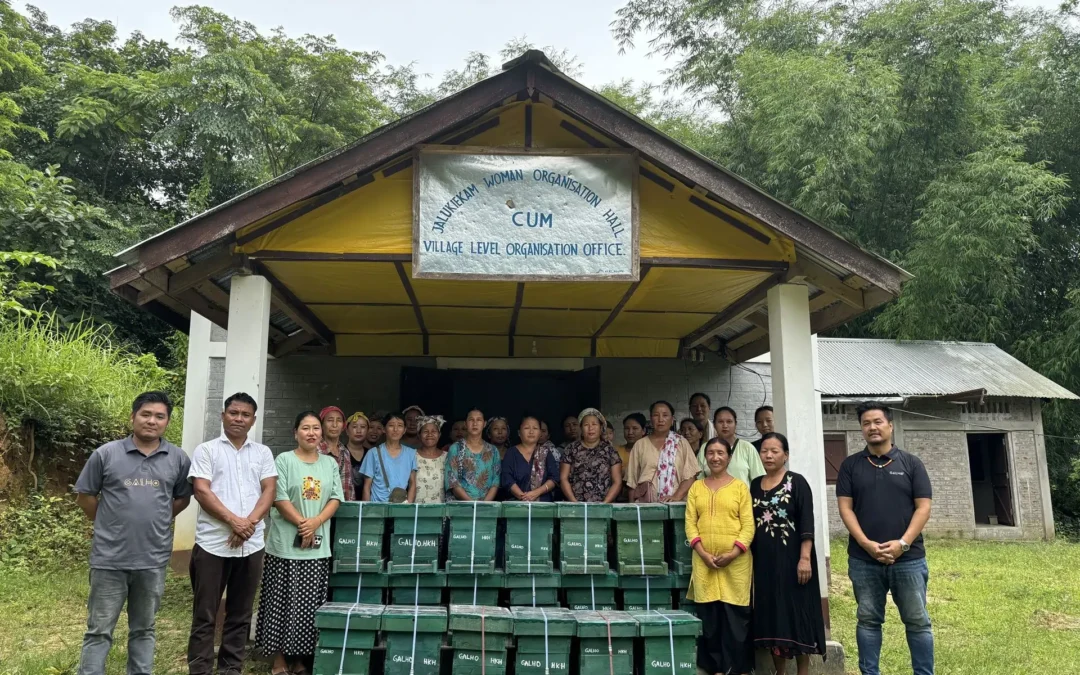 The Value Behind GALHO’s Apis Cerana for Sale: Supporting Tribal Beekeepers and Ethical Practices