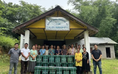 The Value Behind GALHO’s Apis Cerana for Sale: Supporting Tribal Beekeepers and Ethical Practices