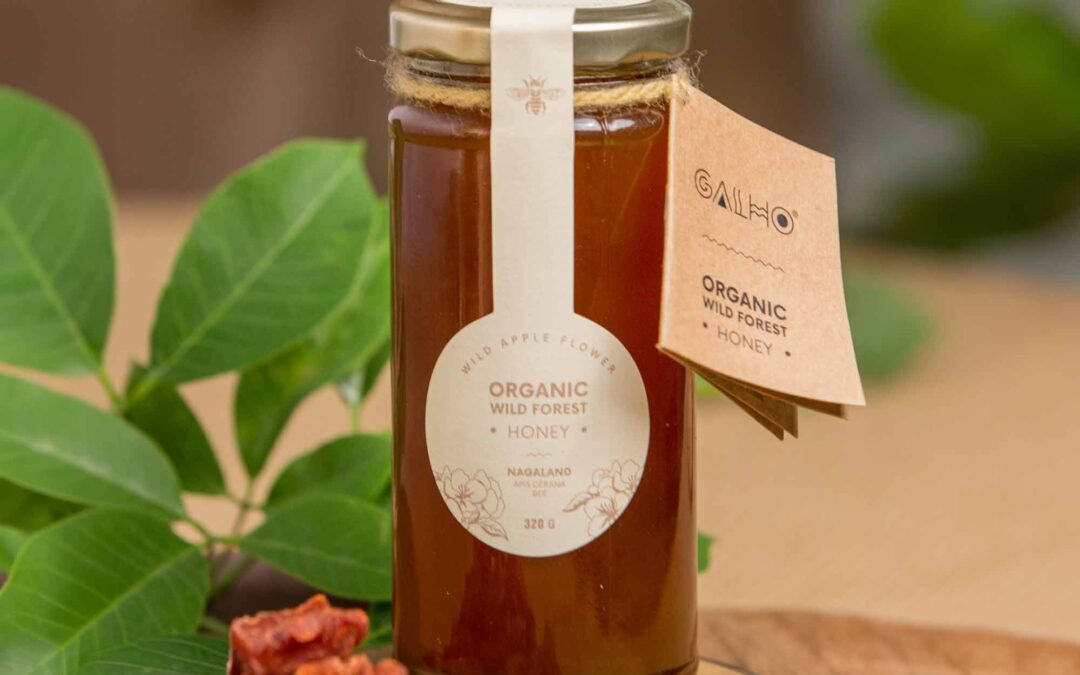 From Hive to Home: The Story of Galho’s Wild Forest Honey