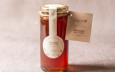 The Value Behind GALHO’s Apis Cerana for Sale: Supporting Tribal Beekeepers and Ethical Practices