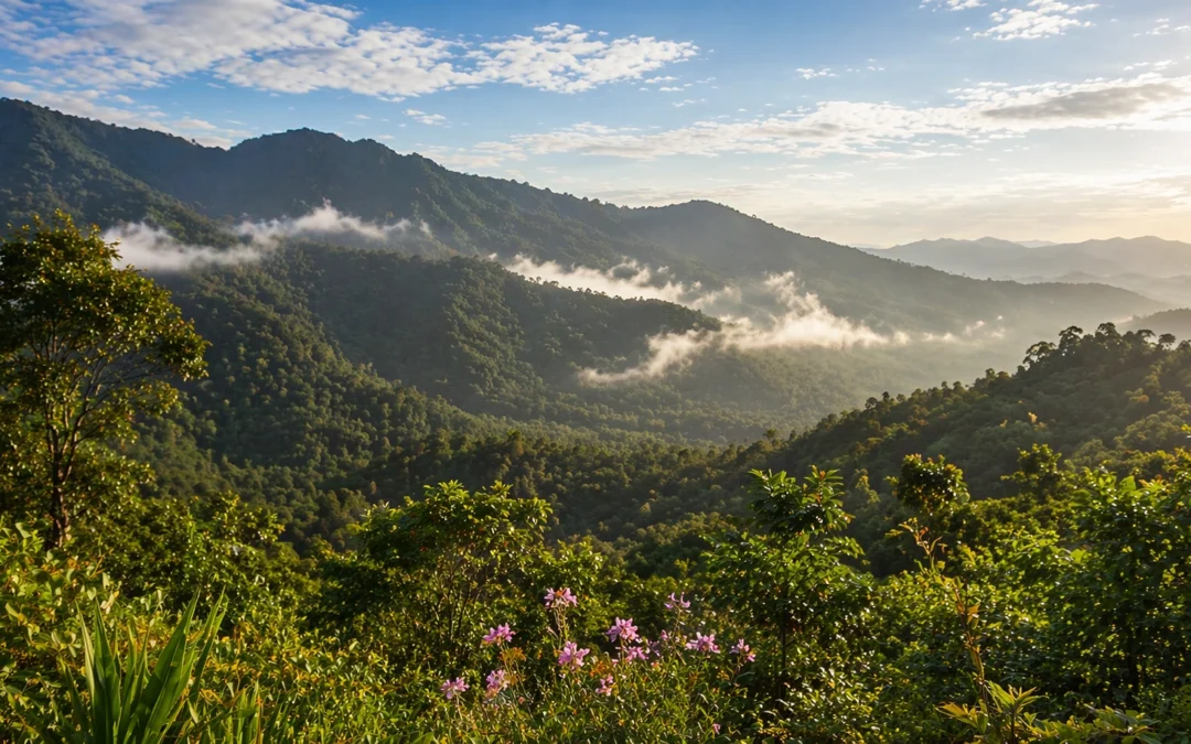 Nagaland’s Wildflower Honey: A Gift from the Eastern Himalayas Biodiversity Hotspot