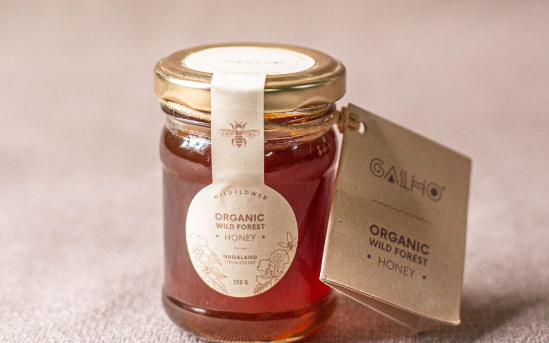 Why GALHO’s Stingless Bee Honey Online is Gaining Popularity Among Health Enthusiasts