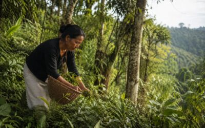 Why Our Ancestors Ate With the Seasons